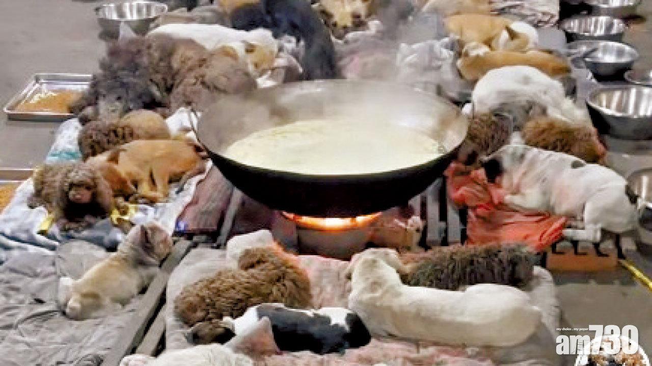 羅生門｜抖音救狗直播主疑賣狗肉  內媒：警方稱未發現違法