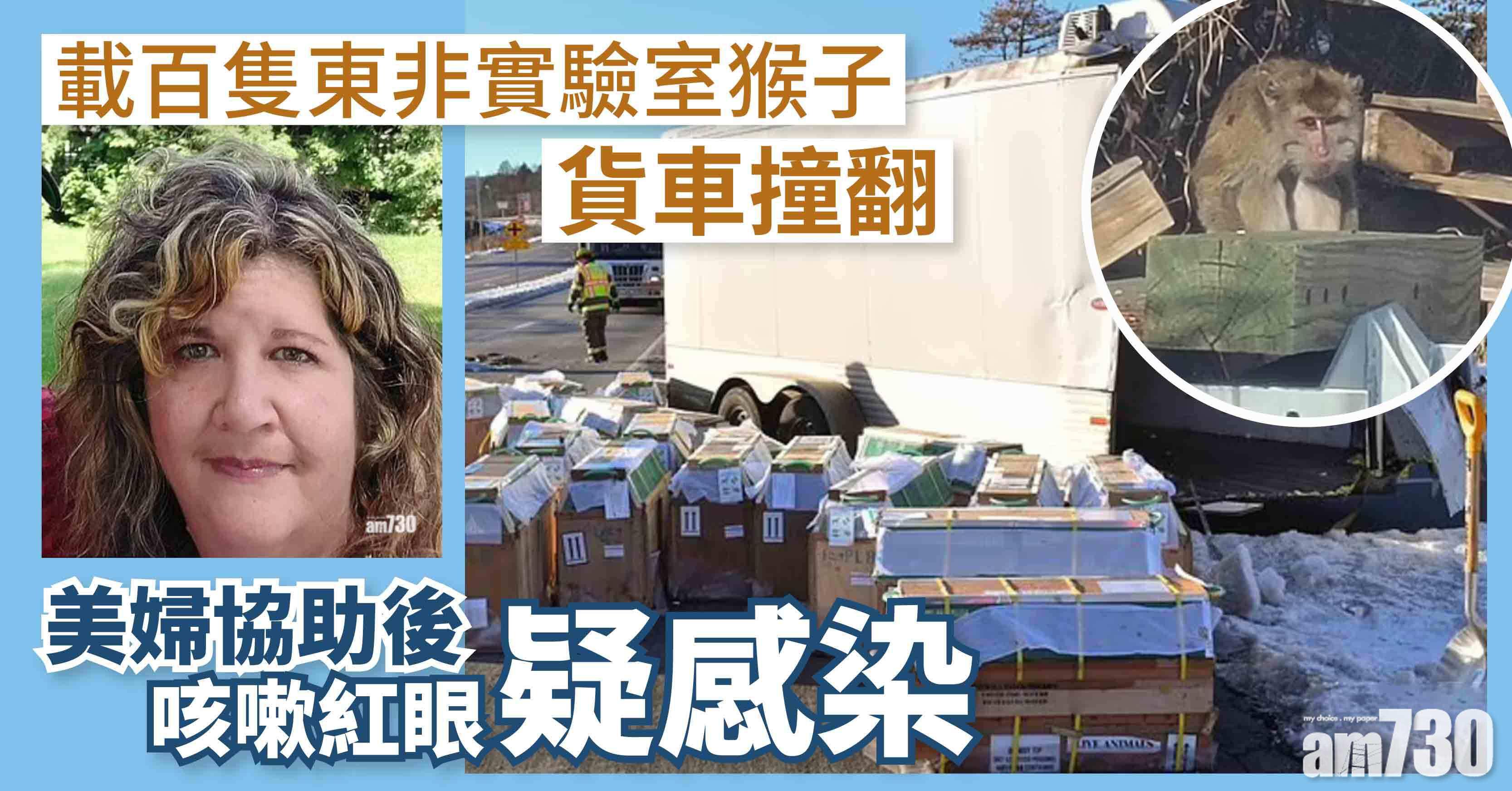 載百隻東非實驗室猴子貨車撞翻  美婦協助後咳嗽紅眼疑感染