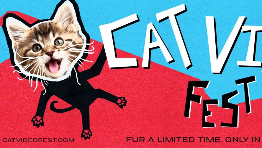 美國有貓貓片電影節入戲院專睇喵星人 負責人一年睇萬五條片揀蟀