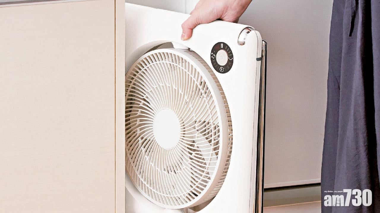 蝸居必備 夏日小涼伴