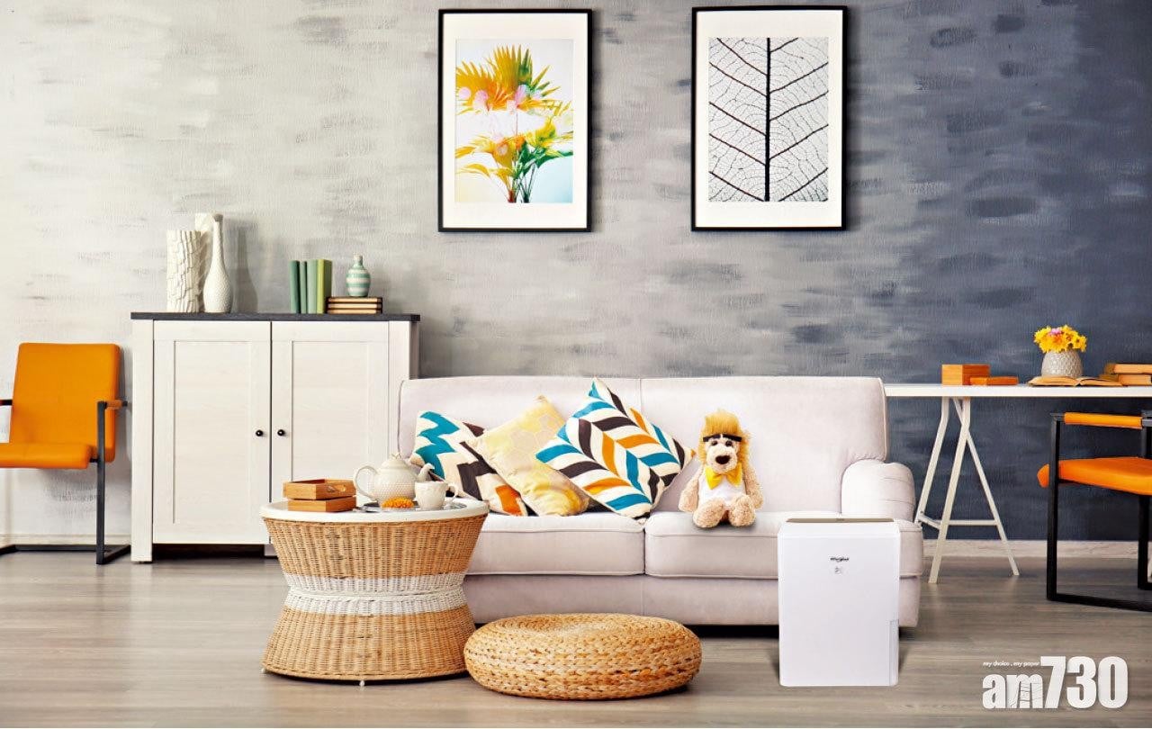 惠而浦Puri-Pro 抽濕淨化機 一機兩用