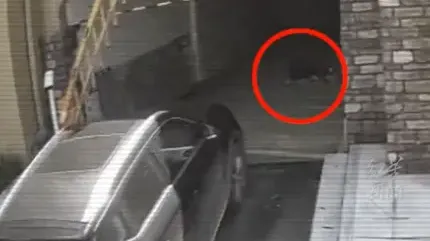 清潔工瞓停車場地面遭輾斃，司機扣押1年無罪釋放索60萬賠償。