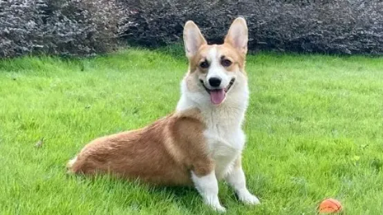 醉酒夫狂斬哥基十幾刀。