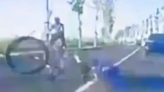 內地父子跟團踩單車兒子跌落車被輾斃　路人曾勸阻反被罵「跟你有關嗎」