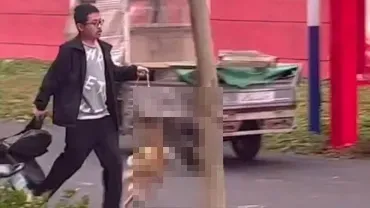 河北大學生虐貓勒脖狠踩拋屍垃圾桶　過程全被錄下