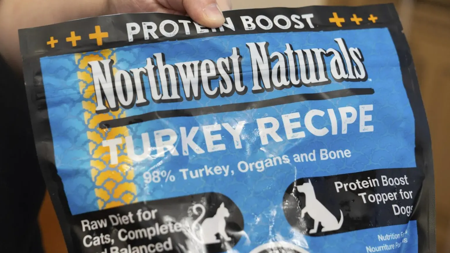 美國傳貓咪禽流感疫情！　生肉糧、生牛奶遭汙染　多隻家貓染病身亡