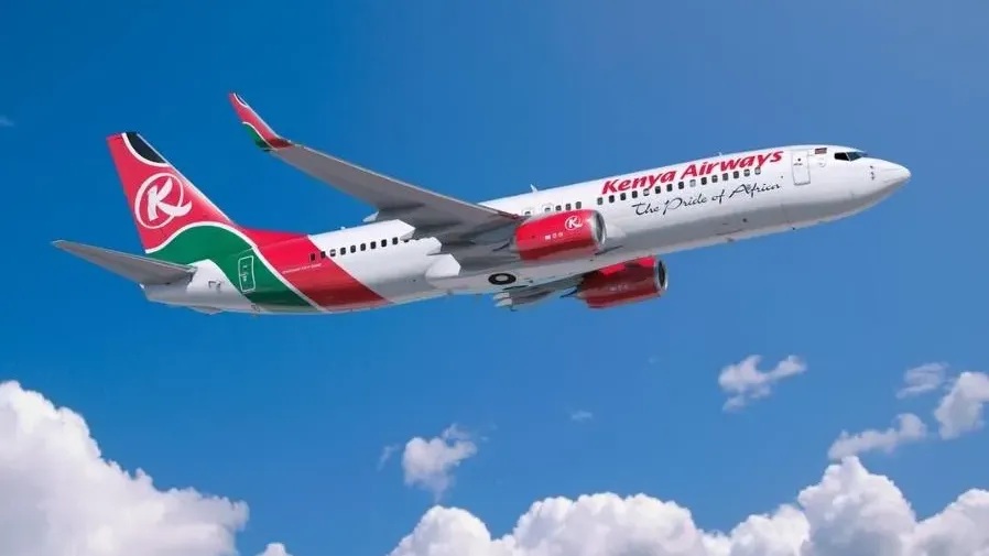 尼日利亞女乘客因簽證問題無法登機　向地勤怒掟三片染血M巾被遣返