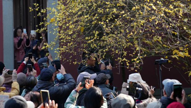 內地當局打擊炮製涉及公共政策、春運出行、旅遊攻略等誤導資訊或謠言的行為。（新華社資料圖片）