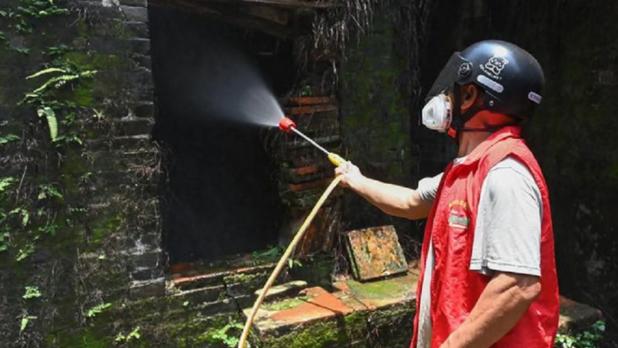 佛山市當局將常態化展開蚊媒密度監測，迅速撲滅零星散發疫情。（新華社資料圖片）