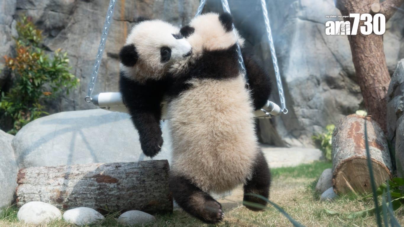 李家超指龍鳳胎「家姐」及「細佬」只是乳名，今午推出命名比賽(蘇文傑攝)