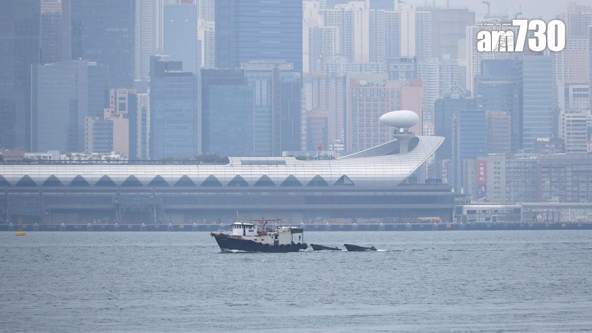 消息指，政府已預留4,600萬元吸引郵輪來港停泊。(林俊源攝)