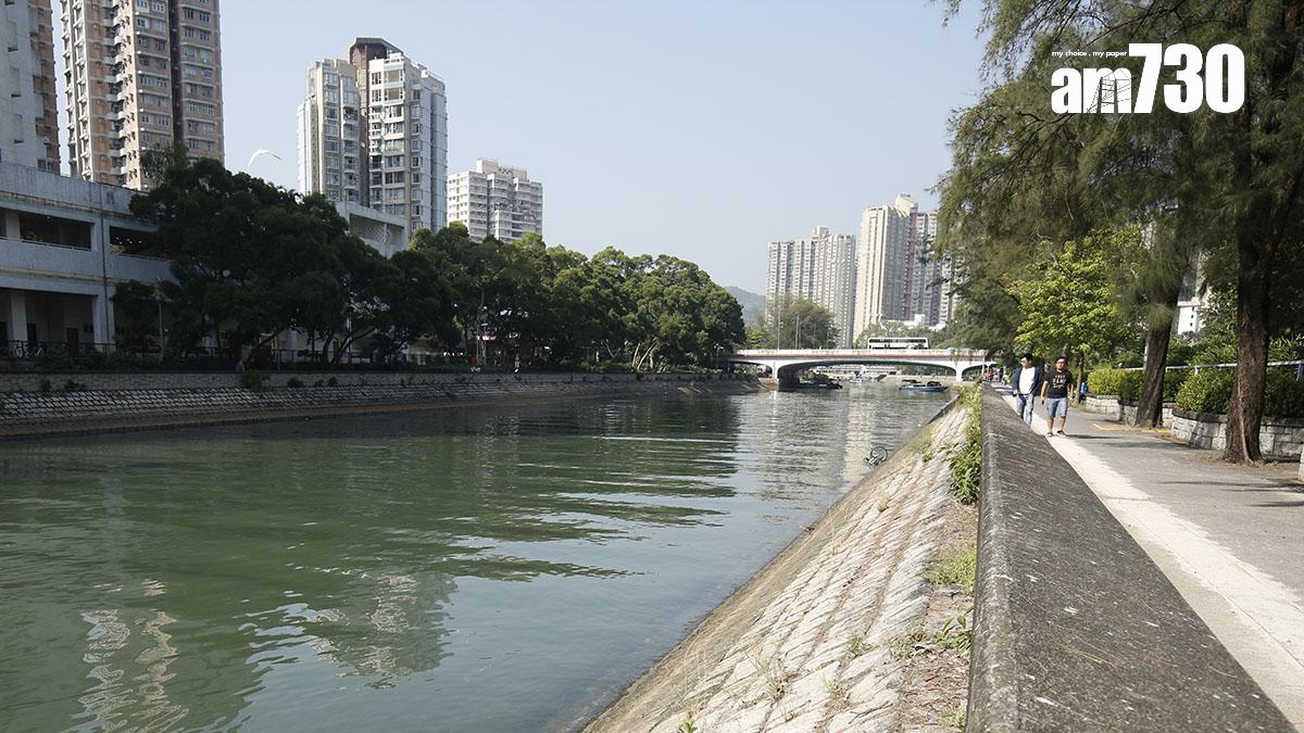 大埔區議會正就林村河兩岸設施提出改善方案。(資料圖片／蘇文傑攝)