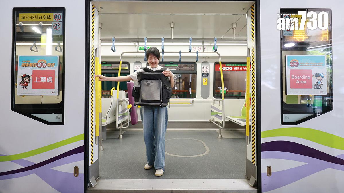 港鐵在輕鐵推行的「貓狗同行」試行計劃，容許主人在指定條件下攜帶一隻貓或狗乘搭全綫輕鐵。(資料圖片)