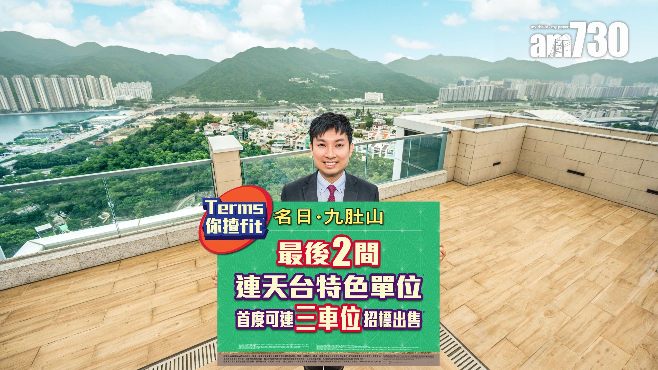 名日．九肚山推最後22伙 下周一起招標｜沙田新盤