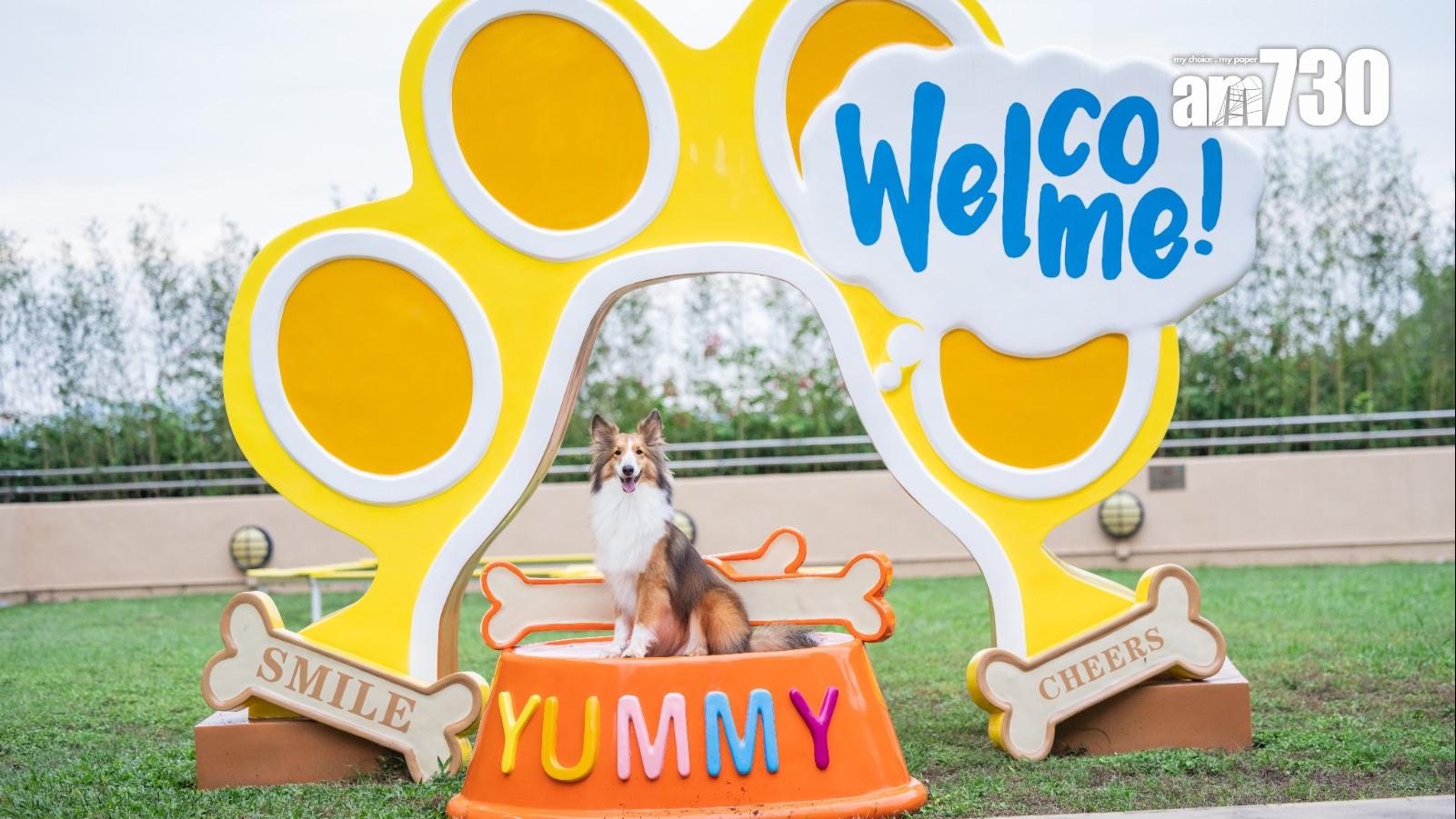 數碼港「PAWsome Day週末系列」 7月起每月登場 