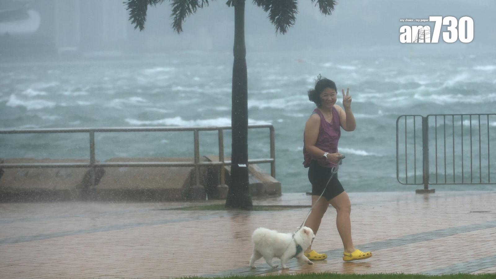 有市民帶同寵物雨中散步。(林俊源攝)
