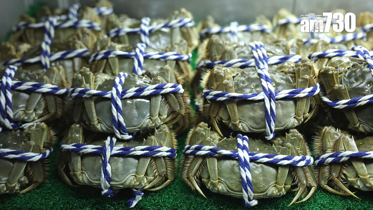 大閘蟹的時令季節將至。(林俊源攝)