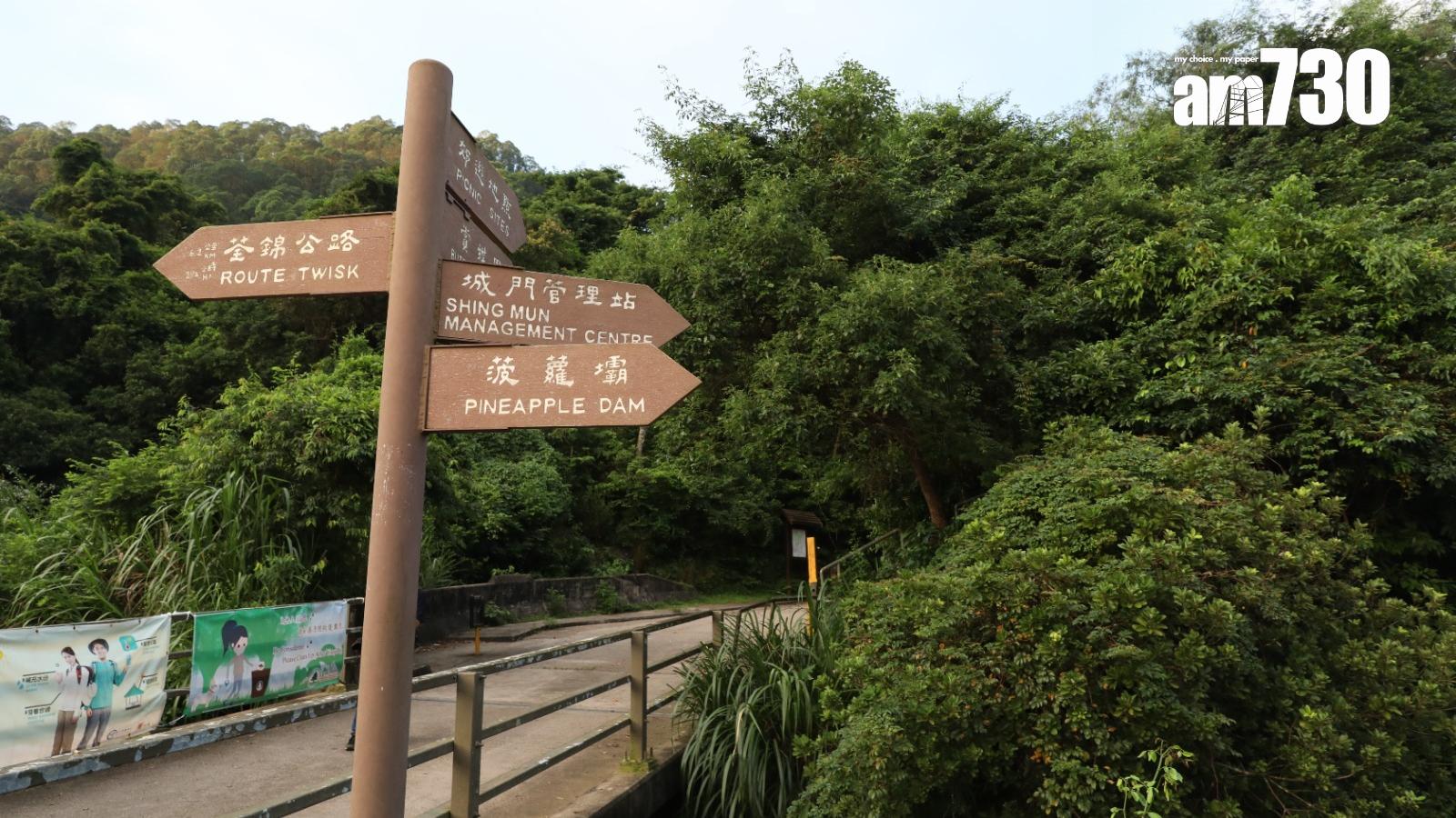 荃灣城門水塘。（資料圖片）