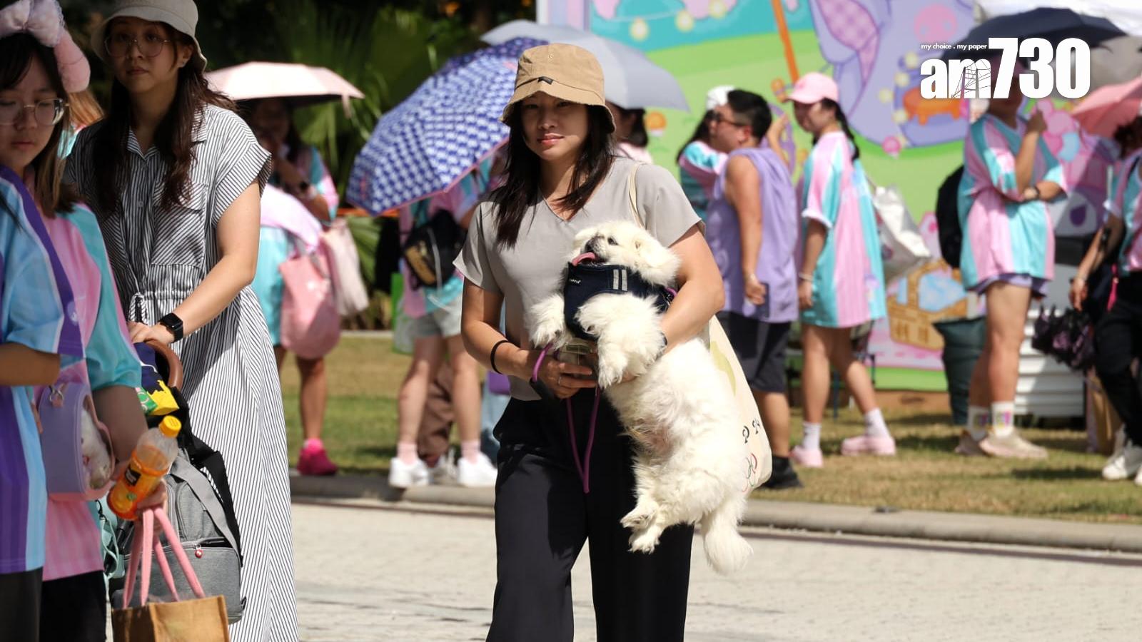 天文台指本月已錄3日酷熱天氣日數。（資料圖片/林俊源攝)