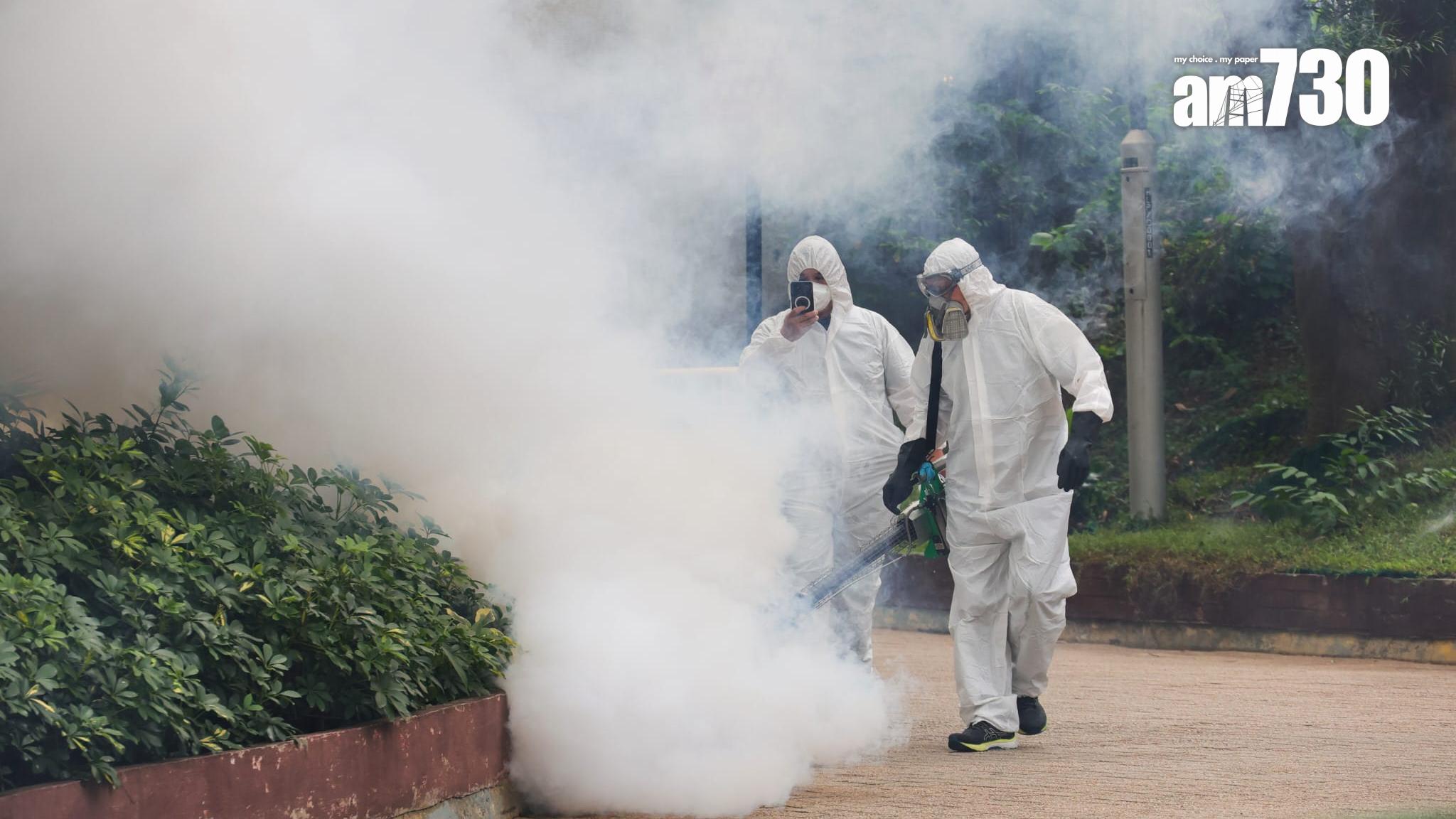 食環署加強滅蚊工作。(資料圖片)