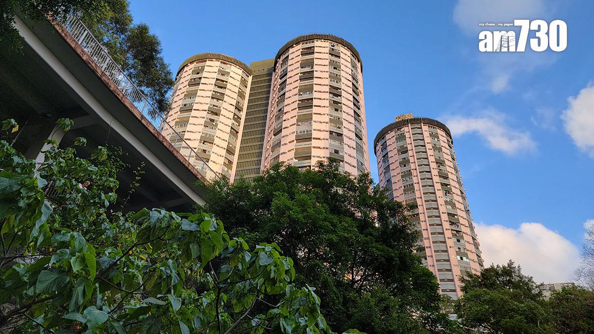 一名男子在勵德邨一間便利店與店員爭執後懷疑遇襲，負傷至灣仔時向巡警求助。(資料圖片)