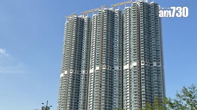 08年海嘯貨升值1.4倍！東涌海堤灣畔移民盤減價22萬獲上車客接手｜二手樓成交