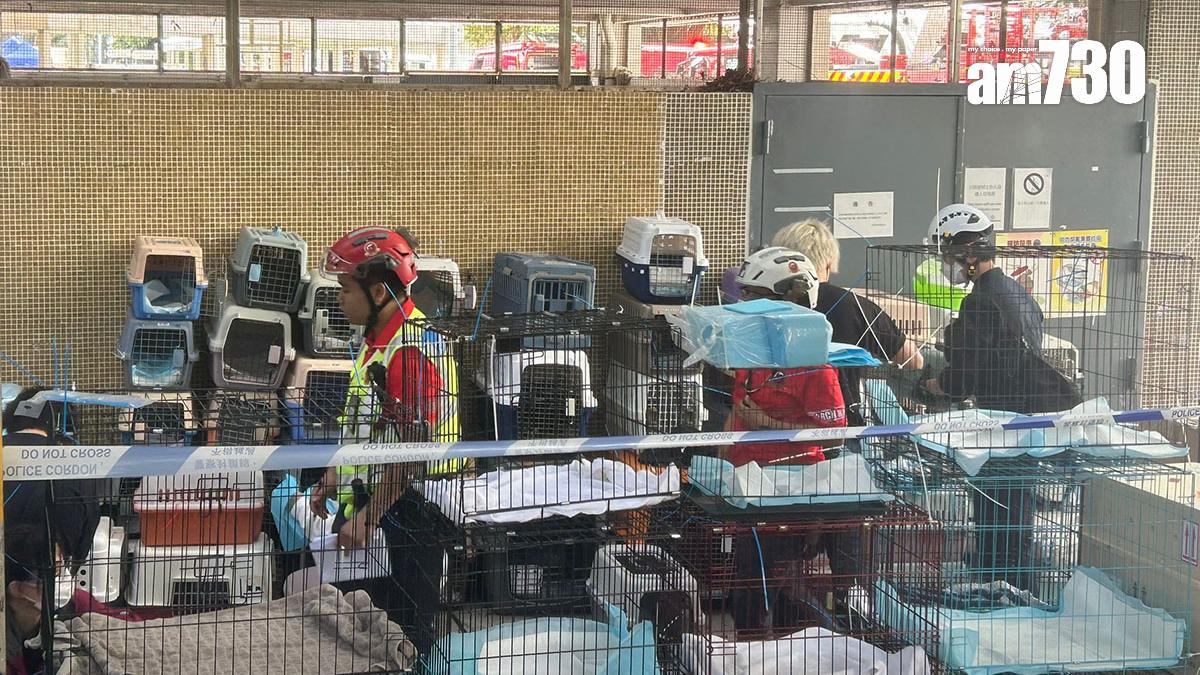 大埔宏福苑五級火發生後，現場有熱心人放置多個寵物籠和保溫箱。(資料圖片／朱慧恩攝)