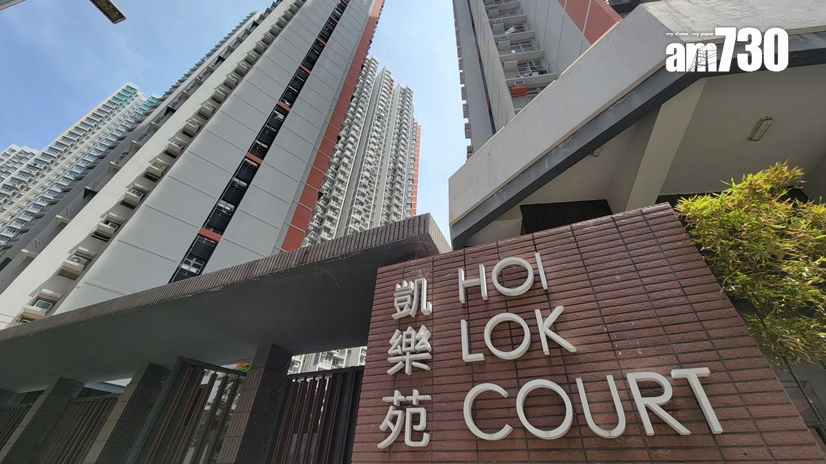 白居二上車客445萬購長沙灣凱樂苑一房 呎價逾1.1萬｜二手居屋成交