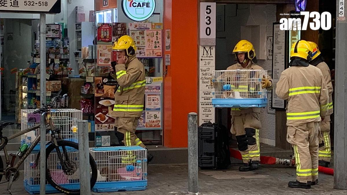 Rabbitland Cafe上月曾經發生火警。(資料圖片／《am730》記者攝)